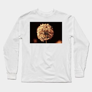 Close-up of  Allium Flower 2 Long Sleeve T-Shirt